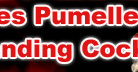 PUMELLED BY BIG BLACK PUNISHING COCKS!